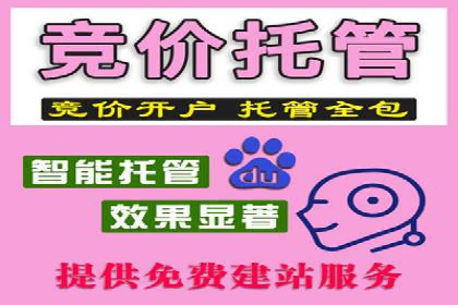成功企业案例：竞价SEM托管助力市场扩张